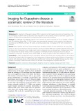 Imaging for Dupuytren disease: A systematic review of the literature