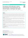 Percutaneous full-endoscopic anterior transcorporeal cervical discectomy and channel repair: A technique note report