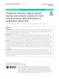 Comparison between velocity‐specific exercise and isometric exercise on neck muscle functions and performance: A randomised clinical trial