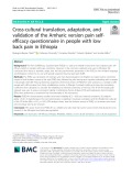 Cross-cultural translation, adaptation, and validation of the Amharic version pain selfefficacy questionnaire in people with low back pain in Ethiopia