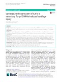 Up-regulated expression of E2F2 is necessary for p16INK4a-induced cartilage injury