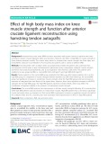 Effect of high body mass index on knee muscle strength and function after anterior cruciate ligament reconstruction using hamstring tendon autografts