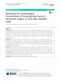 Measuring the morphological characteristics of thoracolumbar fascia in ultrasound images: An inter-rater reliability study