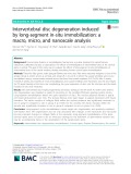 Intervertebral disc degeneration induced by long-segment in-situ immobilization: A macro, micro, and nanoscale analysis