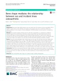 Bone shape mediates the relationship between sex and incident knee osteoarthritis