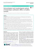 Immunological and morphological analysis of heterotopic ossification differs to healthy controls