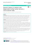 Dynamic balance in patients with degenerative lumbar spinal stenosis; a cross-sectional study