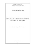 Luận văn Thạc sĩ Toán học: Số Catalan Larcombe French và số Catalan suy rộng