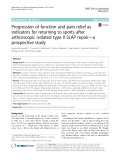 Progression of function and pain relief as indicators for returning to sports after arthroscopic isolated type II SLAP repair - a prospective study
