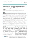 In the quest for degenerative lumbar spinal stenosis etiology: The Schmorl’s nodes model