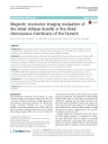 Magnetic resonance imaging evaluation of the distal oblique bundle in the distal interosseous membrane of the forearm