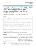 Quantitative MRI comparison of multifidus muscle degeneration in thoracolumbar fractures treated with open and minimally invasive approach