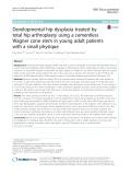 Developmental hip dysplasia treated by total hip arthroplasty using a cementless Wagner cone stem in young adult patients with a small physique