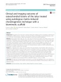 Clinical and imaging outcome of osteochondral lesions of the talus treated using autologous matrix-induced chondrogenesis technique with a biomimetic scaffold