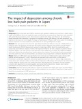 The impact of depression among chronic low back pain patients in Japan