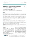 Quantitative evaluation of subchondral bone microarchitecture in knee osteoarthritis using 3T MRI