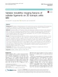 Subtalar instability: Imaging features of subtalar ligaments on 3D isotropic ankle MRI