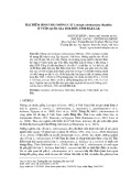 Đặc điểm hình thái nhông cát Leiolepis rubritaeniata (Reptilia) ở vườn quốc gia Yok Đôn, tỉnh Đăk Lăk