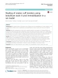 Healing of rotator cuff tendons using botulinum toxin A and immobilization in a rat model