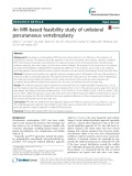 An MRI-based feasibility study of unilateral percutaneous vertebroplasty