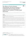 The efficacy of local continuous chemotherapy and postural drainage in combination with one-stage posterior surgery for the treatment of lumbar spinal tuberculosis