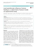 Local pamidronate influences fracture healing in a rodent femur fracture model: An experimental study