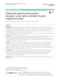 Ultrasound-guided gastrocnemius recession: A new ultra–minimally invasive surgical technique