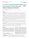 Does hemipelvis structure and position influence acetabulum orientation
