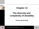 Lecture Managing diversity: Chapter 13 - Glenda Strachan, Erica French, John Burgess