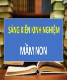 Sáng kiến kinh nghiệm Mầm non: Một số biện pháp chỉ đạo nâng cao chất lượng chuyên môn cho đội ngũ giáo viên tại trường Mầm non Hoa Phượng