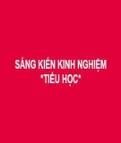 Sáng kiến kinh nghiệm Tiểu học: Một số kinh nghiệm trong công tác chỉ đạo xây dựng môi trường xanh trong khuôn viên trường học