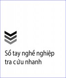 Sổ tay Nghề nghiệp tra cứu nhanh