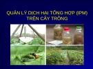 Bài giảng Quản lý dịch hại tổng hợp (IPM) trên cây trồng