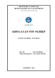 Khóa luận tốt nghiệp Tài chính – Ngân hàng: Một số biện pháp cải thiện tình hình tài chính tại Công ty TNHH Quang Hưng