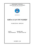 Khóa luận tốt nghiệp Kế toán – Kiểm toán: Hoàn thiện công tác kế toán hàng hóa tại công ty cổ phần đầu tư thương mại Vĩnh Thịnh