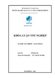 Khóa luận tốt nghiệp Tài chính – Ngân hàng: Giải pháp nâng cao chất lượng tín dụng tại ngân hàng thương mại cổ phần Việt Nam thương tín chi nhánh Hải Phòng