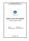 Khóa luận tốt nghiệp Quản trị doanh nghiệp: Nâng cao hiệu quả quản lý và sử dụng nguồn nhân lực tại Công ty chi nhánh bưu chính Viettel Hải Phòng – Tổng công ty CP bưu chính Viettel