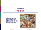 Lecture Consumer behavior (8e): Chapter 6 - Michael Solomon