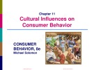 Lecture Consumer behavior (8e): Chapter 11 - Michael Solomon