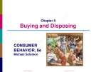 Lecture Consumer behavior (8e): Chapter 8 - Michael Solomon