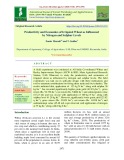 Productivity and economics of irrigated wheat as influenced by nitrogen and sulphur levels