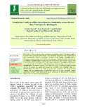 Comparative analysis of rice bran bioactive metabolites across diverse rice genotypes of chhattisgarh