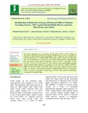 Identification of resistant genotype of barnyard millet of national screening nursery (NSN) against banded blight disease caused by Rhizoctonia solani Kuhn