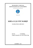 Khóa luận tốt nghiệp Kế toán – Kiểm toán: Hoàn thiện công tác kế toán doanh thu, chi phí và xác định kết quả kinh doanh tại Công ty cổ phần công nghiệp Bắc Việt