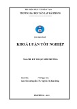 Khoá luận tốt nghiệp Kỹ thuật môi trường: Nghiên cứu khả năng hấp thụ dung môi hữu cơ (Benzen và Toluen) của một số chất hoạt động bề mặt