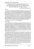 Mũi may B-Lynch cải tiến trong bảo tồn tử cung nhân một trường hợp vỡ góc tử cung tại khoa Phụ sản Bệnh viện Đa khoa khu vực tỉnh An Giang