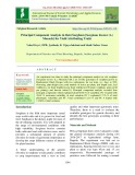 Principal component analysis in rabi sorghum [Sorghum bicolor (L.) Moench] for yield attributing traits