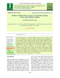 Studies on mustard (Brassica juncea L.) based intercropping systems under rainfed condition