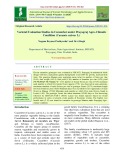Varietal evaluation studies in cucumber under prayagraj agro-climatic condition (Cucumis sativus L.)