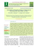 Standardization of propagation techniques in manila tamarind (Pithecellobium dulce (Roxb.) Benth.) var. PKM 1